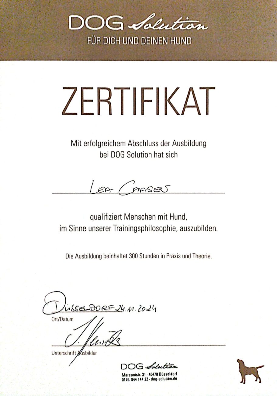 Zertifikat Ausbildung Zertifikat über die Ausbildung zur Hundetrainerin, unterschrieben und datiert.